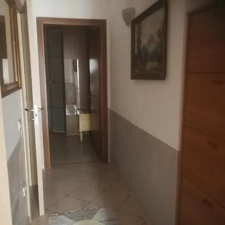 Oasi